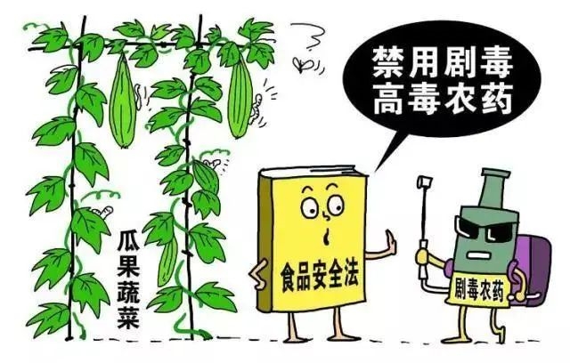 如何防止和减少农药在种植业产品中的残留