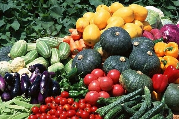 快速检测出蔬菜、水果、粮食、茶叶以及土壤中有机磷和氨基甲酸酯农药残毒