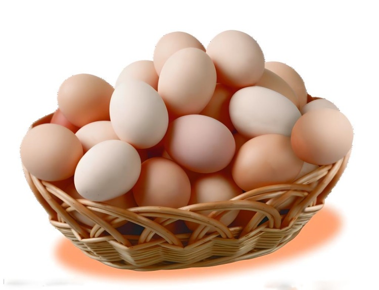 鸡蛋行业标准