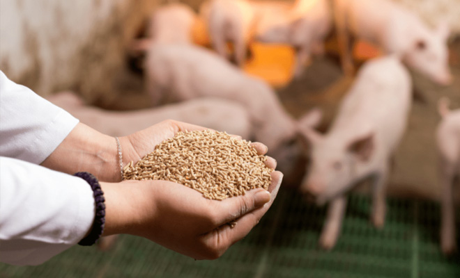  背景与需求分析