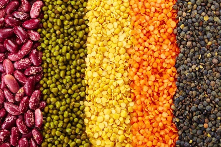 水分作为粮食的天然组成成分